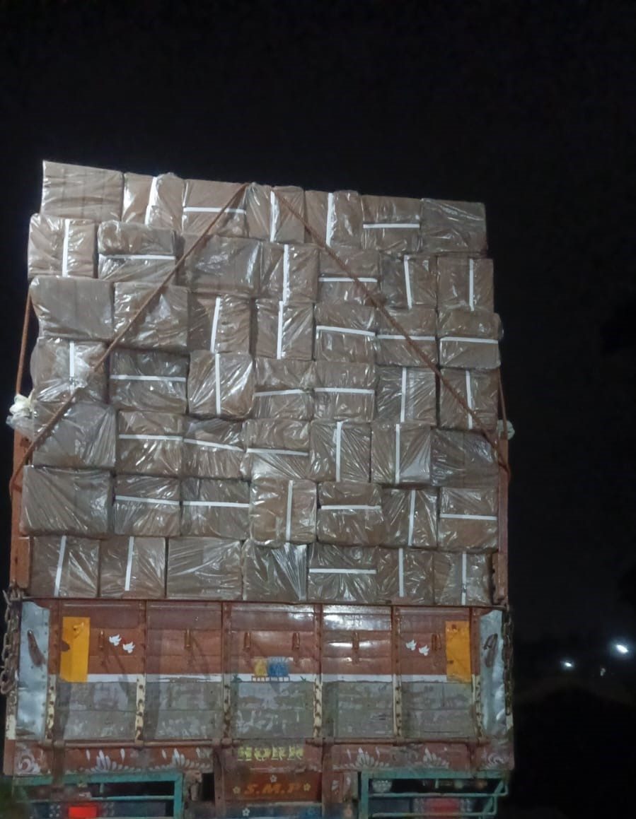 Palletised and shrink-wrapped coco peat blocks