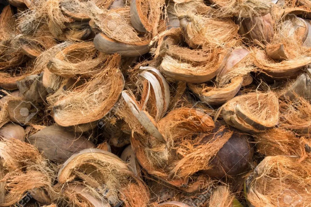 Step 1: Raw husk selection in coco peat production