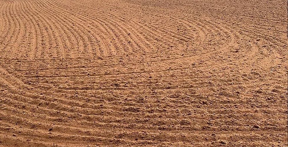 Coir pith sun-drying yard in Salem, Tamil Nadu