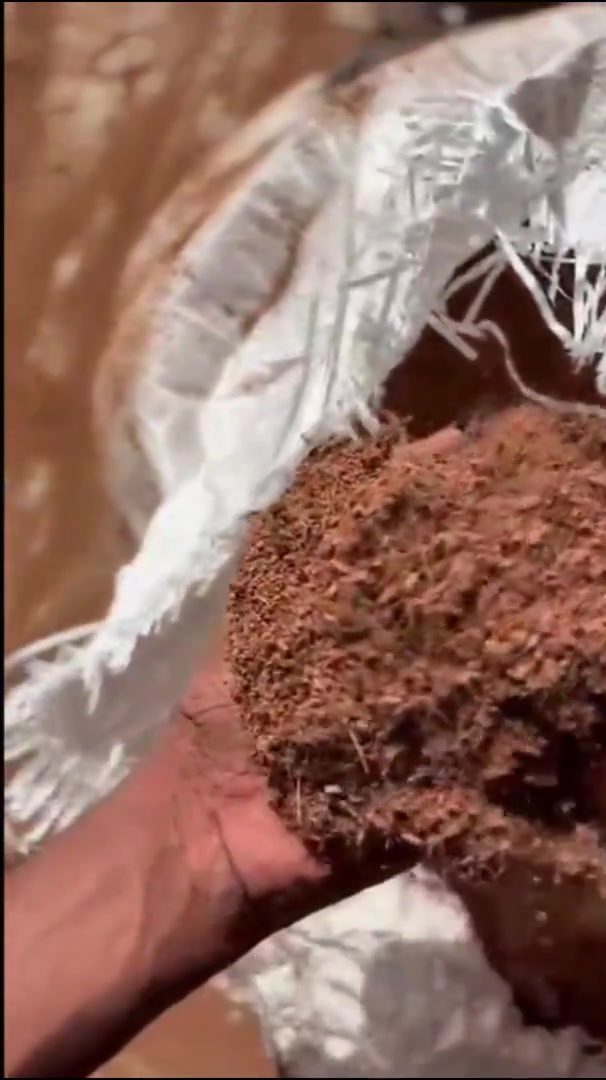 Raw coir pith in hand showing fine coco peat texture